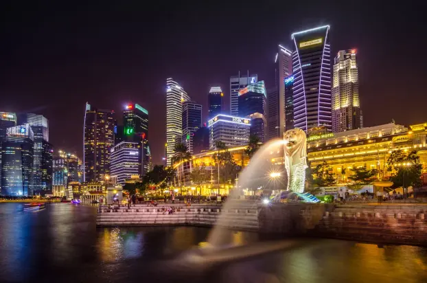 Top Reasons to Choose Professional Visa Consultants in Singapore for Your Travel and Study Plans